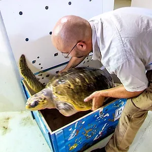 Expédition Pairi Daiza