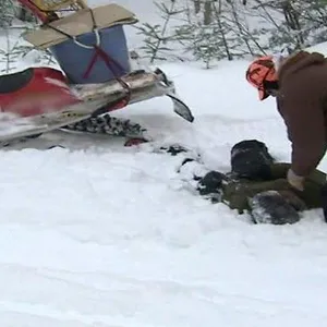 Seuls face à l'Alaska