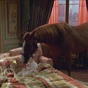 La Vie de Palace de Zack et Cody