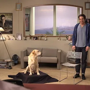S3 E4 : La planète des chiens
