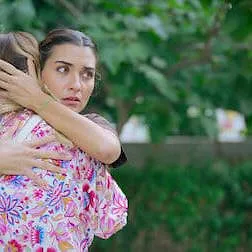 Le Chemin de l'olivier