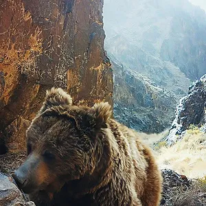 L’Aventure sauvage