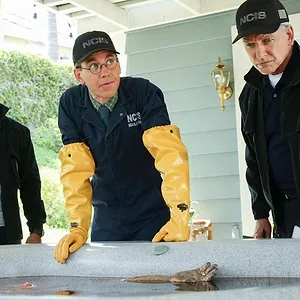 NCIS : Enquêtes spéciales