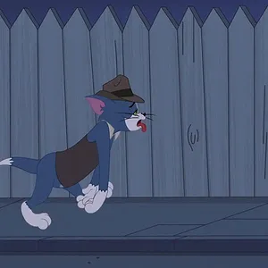 Tom et Jerry Show