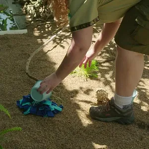 Au cœur de Disney's Animal Kingdom