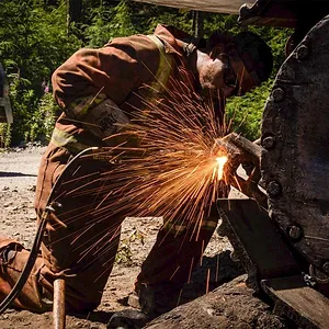 Les derniers bûcherons