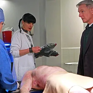 NCIS : Enquêtes spéciales
