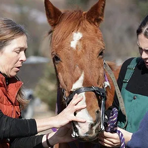 Michelle ou la vie sauvage