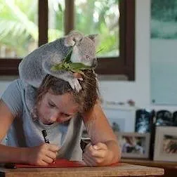 Izzy et les koalas