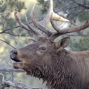America's National Parks