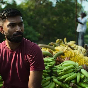 Omnivores : Le parcours de l’alimentation