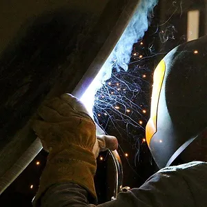 Origines : L'histoire de l'humanité