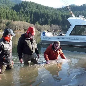 Les rois de la pêche