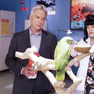NCIS : Enquêtes spéciales