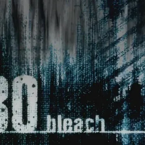 Bleach