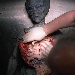 X-Files : Aux frontières du réel