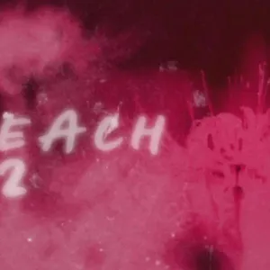 Bleach