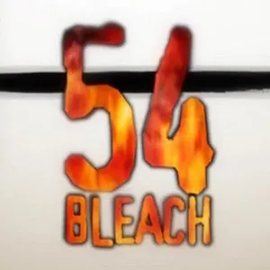 Bleach