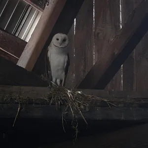 Ghosts : Fantômes à la maison