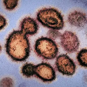 Le coronavirus, en bref