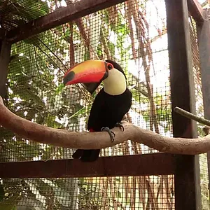 Expédition Pairi Daiza