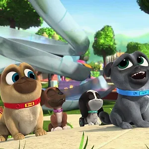 Le monde de Bingo et Rolly