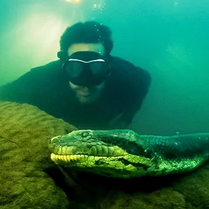 David Blaine : Aux frontières de l'impossible