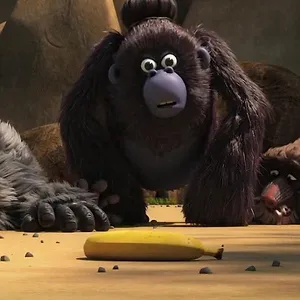 Les As de la jungle en direct