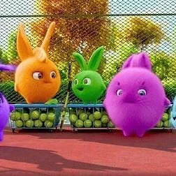 Sunny Bunnies