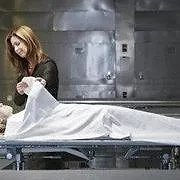 Body of Proof