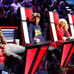 The Voice (États-Unis)