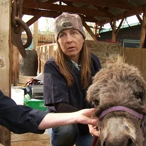 Michelle ou la vie sauvage