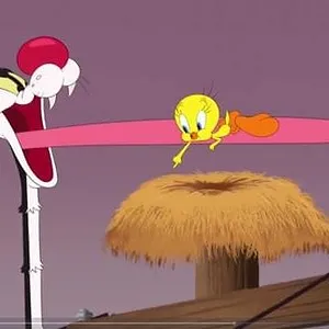 Looney Tunes Cartoons