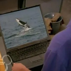 La Vie de Croisière de Zack et Cody