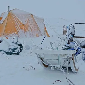 Seuls face à l'Alaska