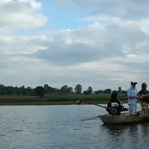 Les rois de la pêche