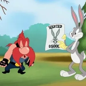 Looney Tunes Cartoons