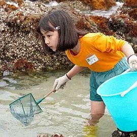 舞いあがれ!