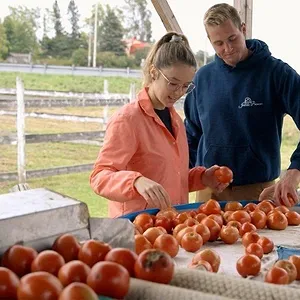 L'amour est dans le pré (Canada)