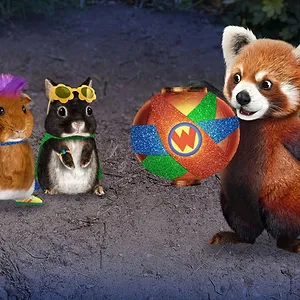 Les Wonder Choux dans la grande ville