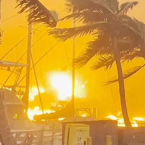 Catastrophes naturelles : Survivre au pire