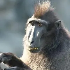 Expédition Pairi Daiza