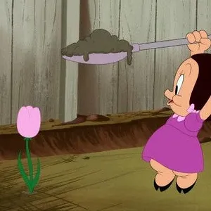 Looney Tunes Cartoons