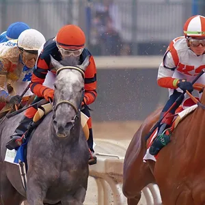 Race For The Crown : La gloire au galop
