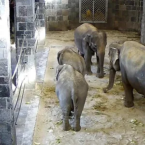 Expédition Pairi Daiza