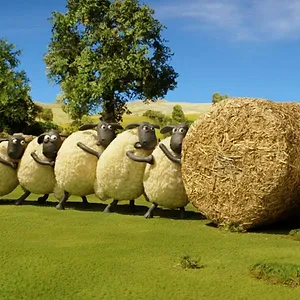 Shaun le mouton : mossy bottom farm shorts