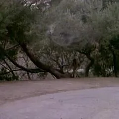 MacGyver
