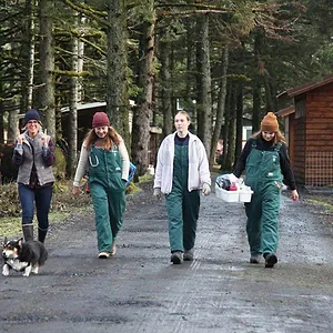 Michelle ou la vie sauvage