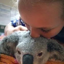 Izzy et les koalas