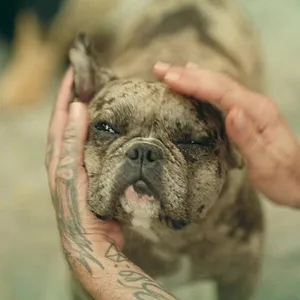 Kaulitz & Kaulitz